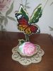 IMG_20201023_013612.jpg