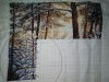 IMG_20201025_104615.thumb.jpg.991cc497d9defd49cf0627a55b531ef1.jpg?1603615155106