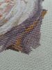 IMG_20201025_121732.thumb.jpg.2dbf17bce7858ed0fe16febf636cf664.jpg