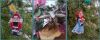 MyCollages.thumb.jpg.a6734fdcb4fae7b510869020ea727e9d.jpg