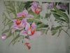 Orchids4.JPG.b3e6b851fd497184bc06ab71c6edbdeb.thumb.jpg.cfd7da2590f1e4fe6a72ca7e37bc1814.jpg