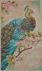 Peacock9.JPG.05153b0edf7b527b40f0c307674707f8.thumb.jpg.e62d7e662ec4681b5b296f6ea54e5e4d.jpg