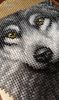 _IMG_20200930_195036.thumb.jpg.5c63fa8bc2e7195acd6ffb63cb883928.jpg