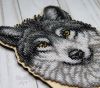 _IMG_4116.thumb.jpg.4accd2c1139a23679f347ad520c8dba8.jpg