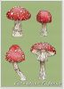 -66CCVoDL-Q.thumb.jpg.a4a4bd75571e5668e3d3bbc1a3afd6b3.jpg