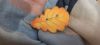 10.thumb.jpg.eab44dc0d460192ad2fda2b47b17706b.jpg