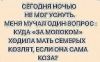 153242212_5672049_116107912_3356205107763559_4451070068361868943_n.thumb.jpg.11f73331d2a296bf5b6c892c17bb179b.jpg