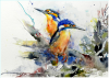 1588361014_.thumb.PNG.b0252d7e6fde45c4d715b25d19cfa721.PNG