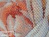 2.thumb.jpg.1f3b19c7348359ea7223bd4649a9c1d9.jpg