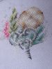 2.thumb.jpg.6fb7ec32eae6b1a86886a2d2c4cb6a69.jpg