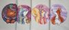 20201001_120910.thumb.jpg.08a2ced2ecdf934cce1f6604dee2a60b.jpg