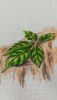 20201013_091051.thumb.jpg.f4f970a066fad72855cad444139ee242.jpg
