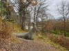 20201024_151856.thumb.jpg.29acc7b32f76a0d13786be586c3dc85d.jpg