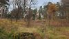 20201024_153048.thumb.jpg.c7a9f0b5f742df58609465098e671aae.jpg