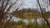 20201024_153622.thumb.jpg.5fce761ff59cec732d1b798b370ce241.jpg