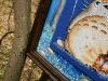 20201031_121722.thumb.jpg.a8285593d03695e703ba91bd6495a10b.jpg