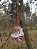 20201031_122254.thumb.jpg.2920805be9c6c2851d74da4aec50a664.jpg