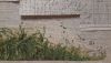 20201102_233651.thumb.jpg.ac295fda2d9a398c5145414367a96a24.jpg