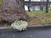 20201104_130834.thumb.jpg.22eae814c49c9a62bd48196b743acddc.jpg