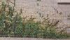 20201104_224405.thumb.jpg.b29a834301881395ae0ac619076ad1d6.jpg