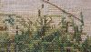 20201104_224416.thumb.jpg.312eece2f2a78a10fc15b2a69a0bb606.jpg