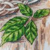 20201106_091719.thumb.jpg.1e83dbf6b3c513fc368a2e12e1dbc491.jpg