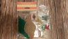 20201118_183658.thumb.jpg.cdf85695b086a9141a9e264f2edad5ab.jpg