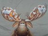 20201127_081158.jpg