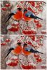 20201127_110727.thumb.jpg.3f8756e683dcb04a11a71aa59e42c4c4.jpg