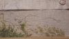 20201128_114912.thumb.jpg.5162e3c3db8b33816b1f95f0a2656b90.jpg
