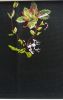 20201129_112409.thumb.jpg.8cd8d6ef2db423cf7efe6c3fea763520.jpg