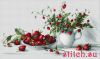 28707.thumb.jpg.18ed2fa0baa35481bd059a1dba3a696f.jpg
