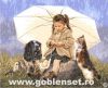 37130.thumb.jpg.b4120b60c9f4648141a03bc43a2466a6.jpg