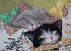 4.thumb.jpg.2ed54007cbc5cb47f317dd1439ea342f.jpg