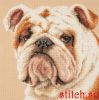 40173.thumb.jpg.baabe566526bb4b0e4ad6f00192a7c7e.jpg