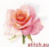 41110.thumb.jpg.e1661d7b40e0d0701969a9f2b9c1008c.jpg