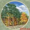 Золотое Руно ВМ-032, Осенний лес