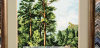 823297599__2020-11-11_205649.thumb.png.36a7c23e7ab0276fdfddbd5fbfb1749b.png