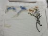 DSC07523.thumb.JPG.a867fe559da67084bb8e6e433dc469fb.JPG
