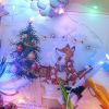 DSCN1367.thumb.JPG.1ee495487207a0a9d731c34794d31cf8.JPG