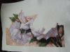 DSCN4604.JPG.483cefbefa93bb9b9091ab84c9e6c7fe.thumb.jpg.47ee7c85a4c89049c0c268dd5787e864.jpg