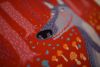 DSC_0944.thumb.JPG.d2d11a5586f77407693c6cc99da7f1e3.JPG