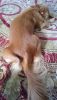 IMG-20190702-WA0006.thumb.jpg.4efa4be63ac595ef46b596d950b12abe.jpg