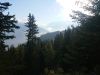 IMG-20201031-WA0005.thumb.jpg.077ea69d752ad649e1a40f2473f5c8a1.jpg