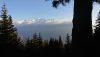 IMG-20201031-WA0007.thumb.jpg.01a91a71145a7fac3725229c4ce7e840.jpg