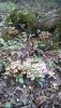 IMG-20201112-WA0007.thumb.jpg.f8908be066ebae597a1ef7a03ae66354.jpg