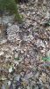IMG-20201112-WA0010.thumb.jpg.00948df1d4e175d6bfa8ab782f8a8ac5.jpg