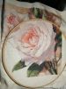 IMG-20201112-WA0019.thumb.jpg.eed64446ab21f82f3e83d1f34a4c99ed.jpg