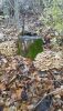 IMG-20201117-WA0000.thumb.jpg.6eb062efef2d56dc499124edafcc1dae.jpg