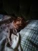 IMG_20190612_183605.thumb.jpg.f5c3ad7c69e15e0b4d57e89d0d4d113d.jpg